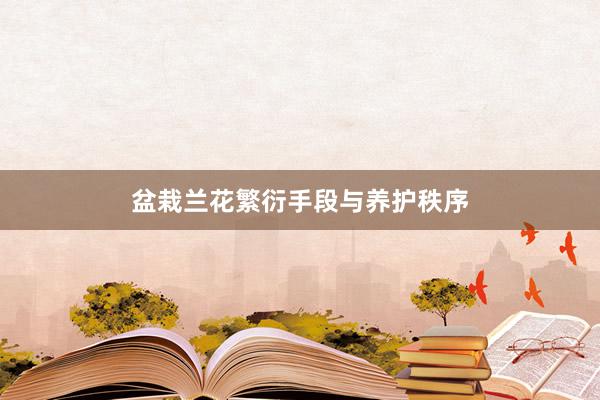 盆栽兰花繁衍手段与养护秩序