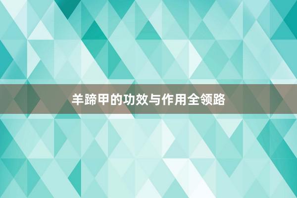 羊蹄甲的功效与作用全领路