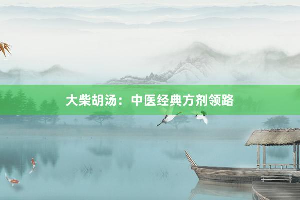 大柴胡汤：中医经典方剂领路